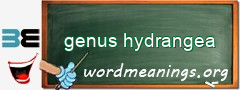 WordMeaning blackboard for genus hydrangea